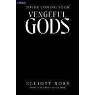 [9798347020119] Vengeful Gods: A Dark Romance by Elliott Rose